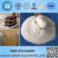 Bone Collagen Powder